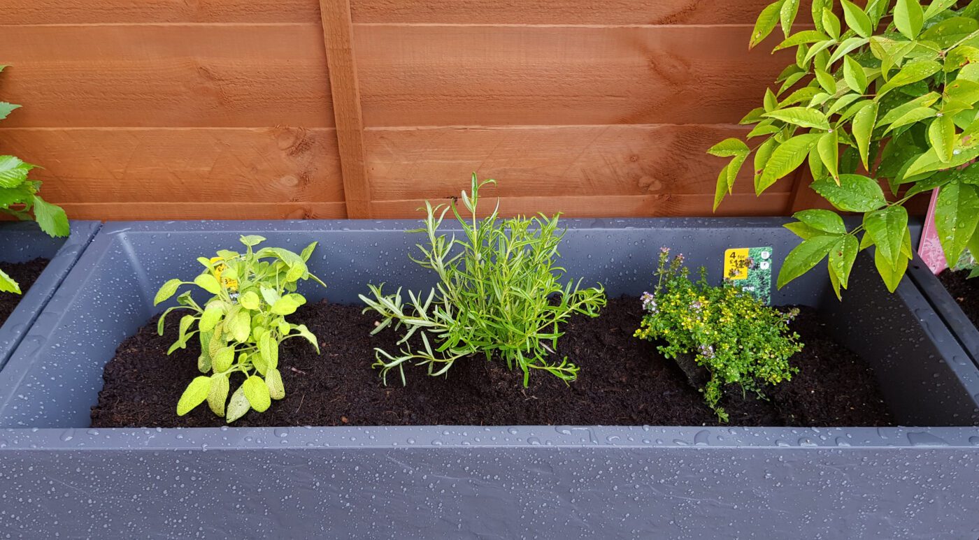 herb garden